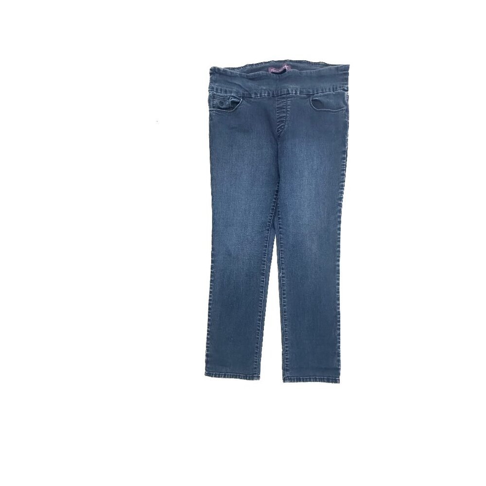 Gloria Vanderbilt Amanda Pull On Straight‎ Leg Women's size 14 Blue Denim jeans
